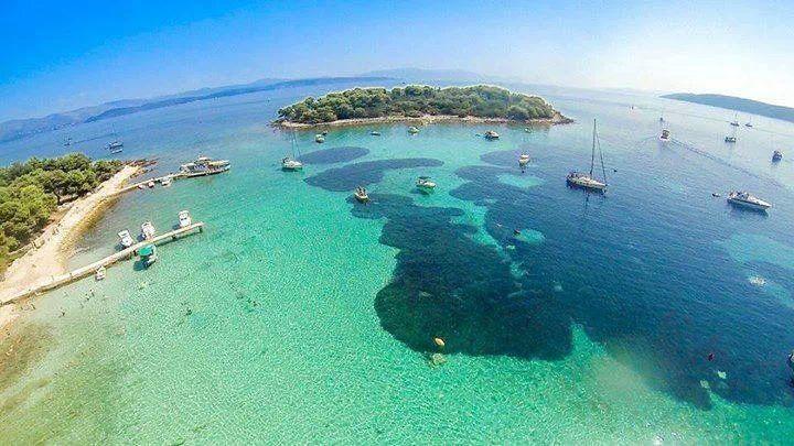 Tamara Trogir